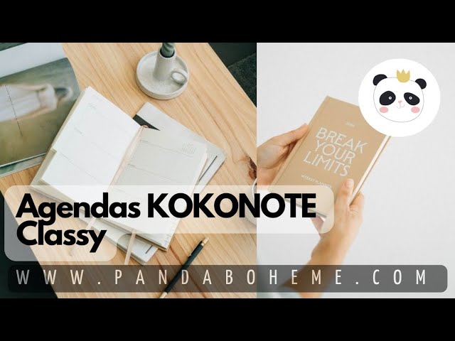 Agendas KOKONOTE  Diarias - Petit Boarding Pass 