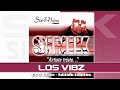 Miniature de la vidéo de la chanson L.o.s. Vibz