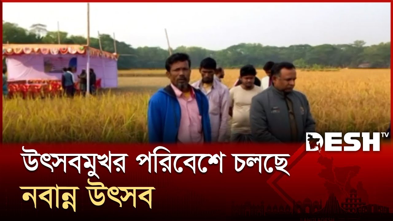 ভোলায় উৎসবমুখর পরিবেশে চলছে নবান্ন উৎসব | Bhola | Desh TV - YouTube