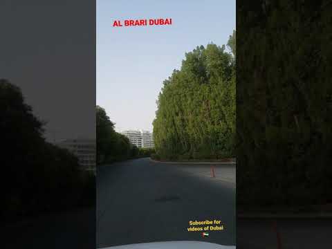 Dubai Al Barari Big Tree In Al Barari Shorts Dubai UAE Shorts Video 