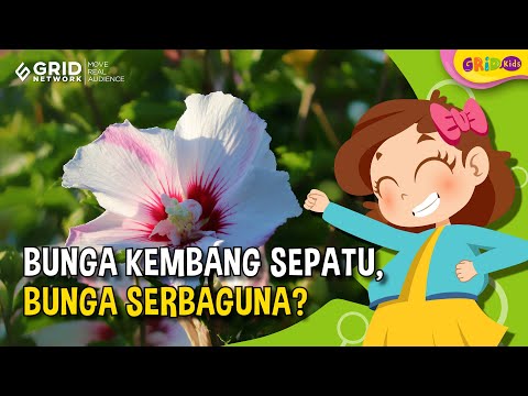 Video: Bunga api: deskripsi, jenis, nama, dan fakta menarik