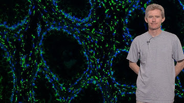 Genome Sequencing for Pathogen Discovery - Joseph DeRisi (UCSF, HHMI)