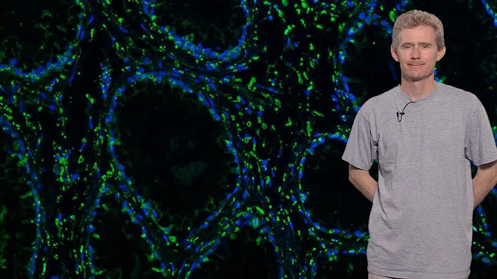 Genome Sequencing for Pathogen Discovery - Joseph DeRisi (UCSF, HHMI)