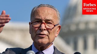 Schumer Blasts Supreme Court Draft Decision To End Roe V. Wade