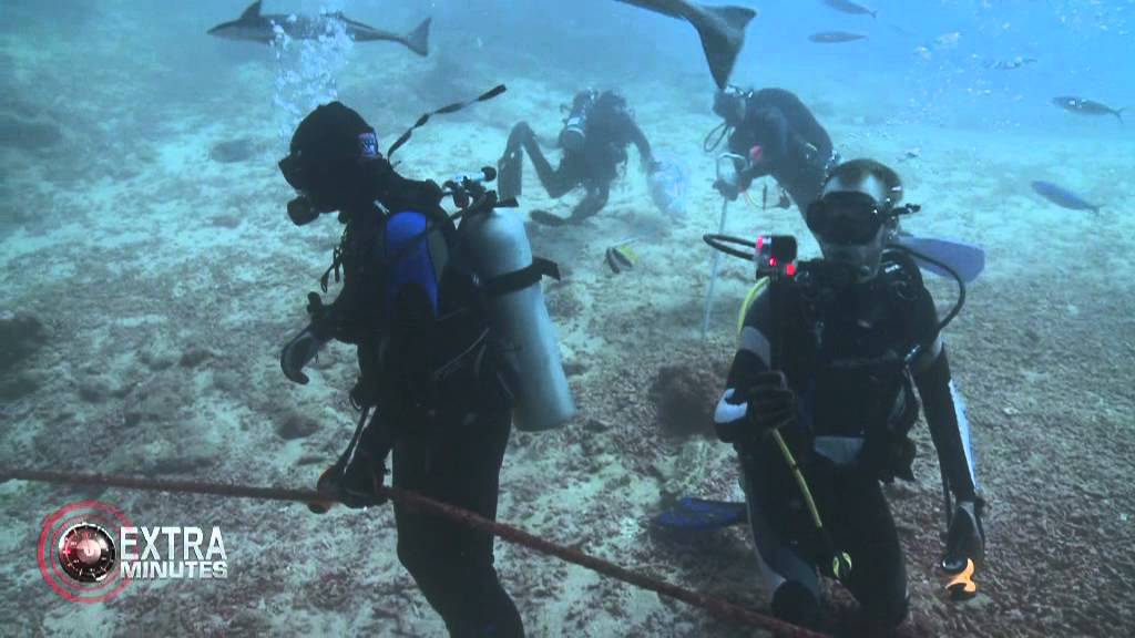 EXTRA MINUTES | Extended interview with Brandon Paige - Shark diver.