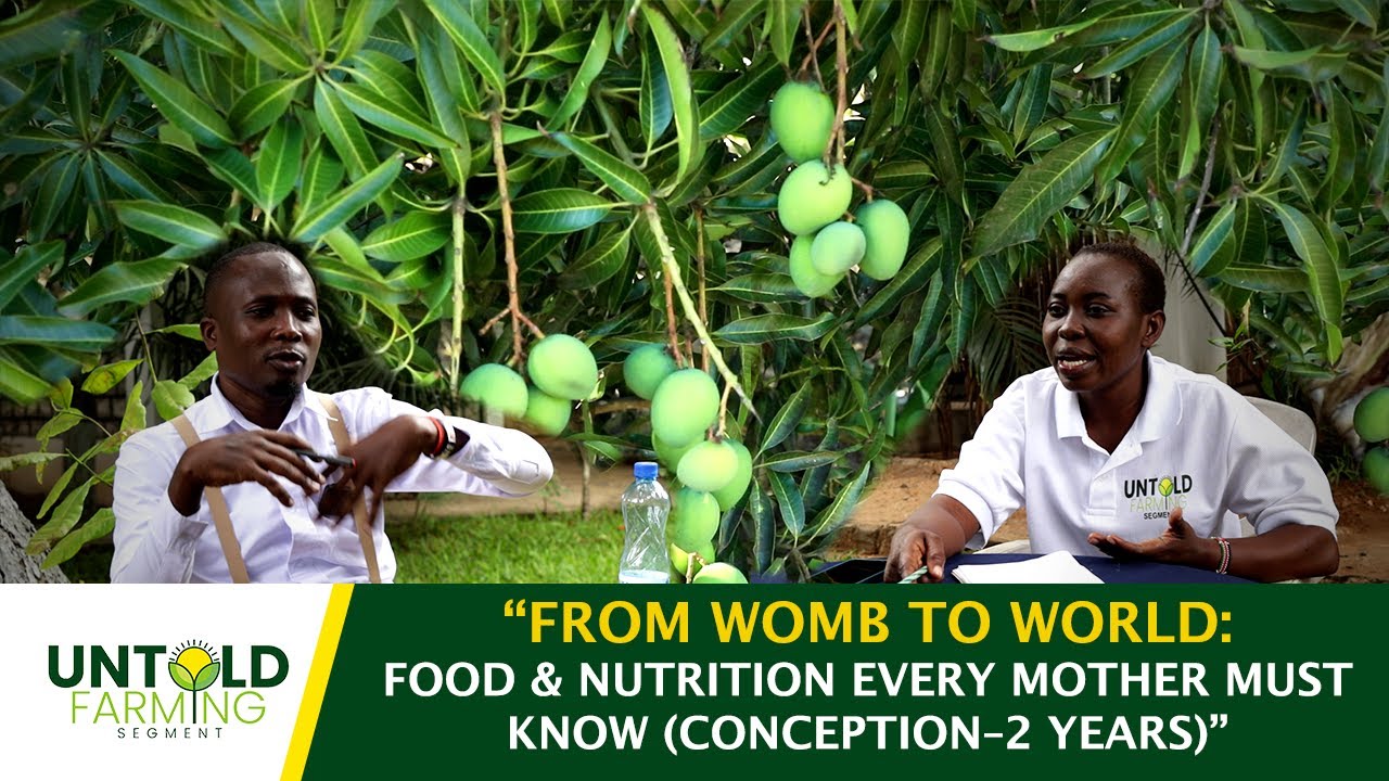 “MOTHERHOOD NUTRITION JOURNEY: WHAT TO EAT & WHAT TO AVOID FROM PREGNANCY TO 2 YEARS”