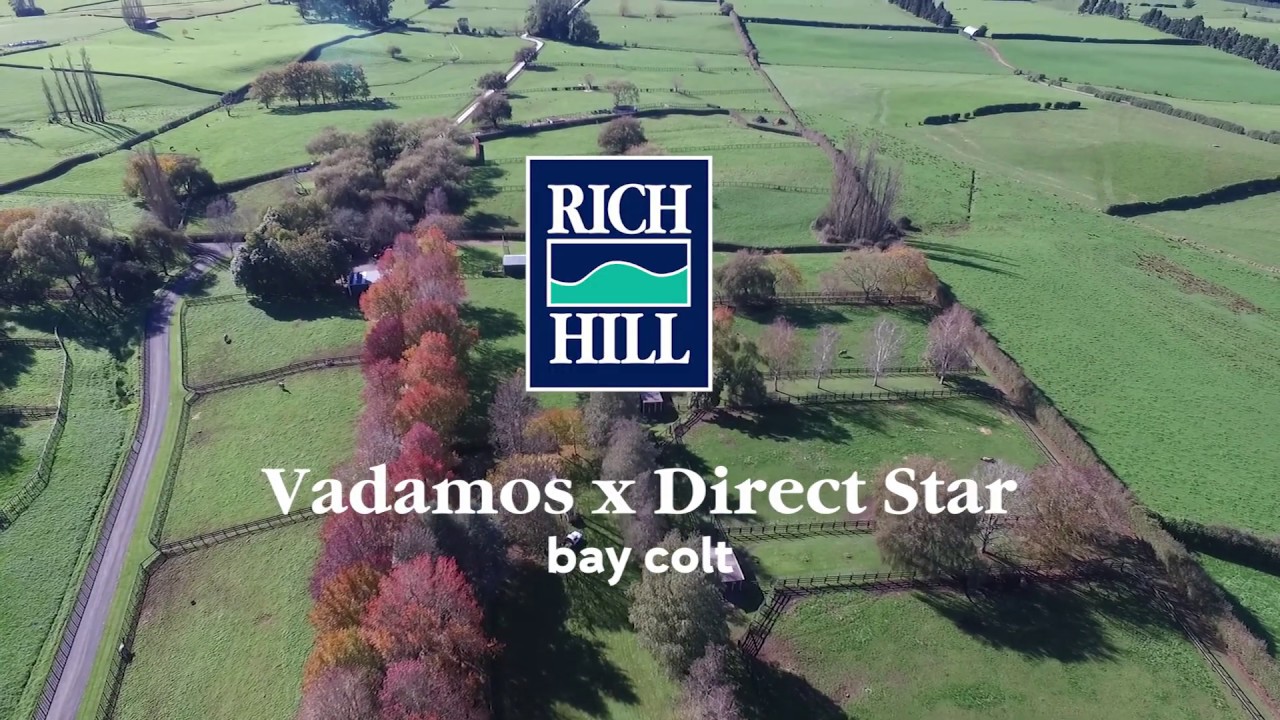 Vadamos Direct star for sale on Gavelhouse Plus YouTube