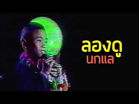 ลองดู - นกแล (2529)