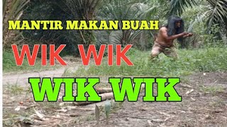Suku Mantir Suka Ngajak Makan Buah Wik Wik