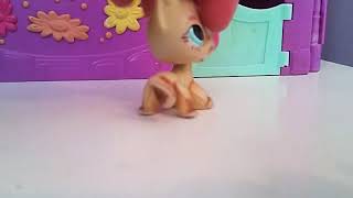 Lps New Girl New School New Life Season 1 Episode 1