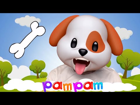 What Do Dogs