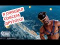 👍 КАКИМИ НА САМОМ ДЕЛЕ ОКАЗАЛИСЬ ГОЛЛАНДСКИЕ КРЕЙСЕРЫ World of Warships