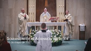 Solemnity of the Ascension of the Lord