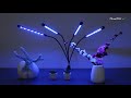 GPCT2207 - Grow Lights for Indoor Plants, 80W 80 LEDs Lights with Red Blue Full Spectrum Dimmable