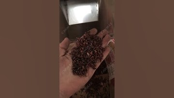 Cocoa peeling machine #machine #oilmakermachine #food