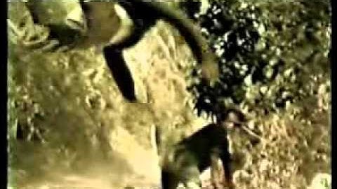 Panna Rittikrai is BORN TO FIGHT: Part 4