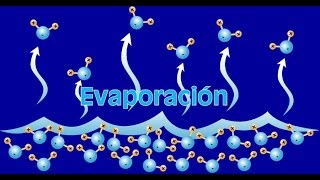 Caracteristicas de la evaporacion