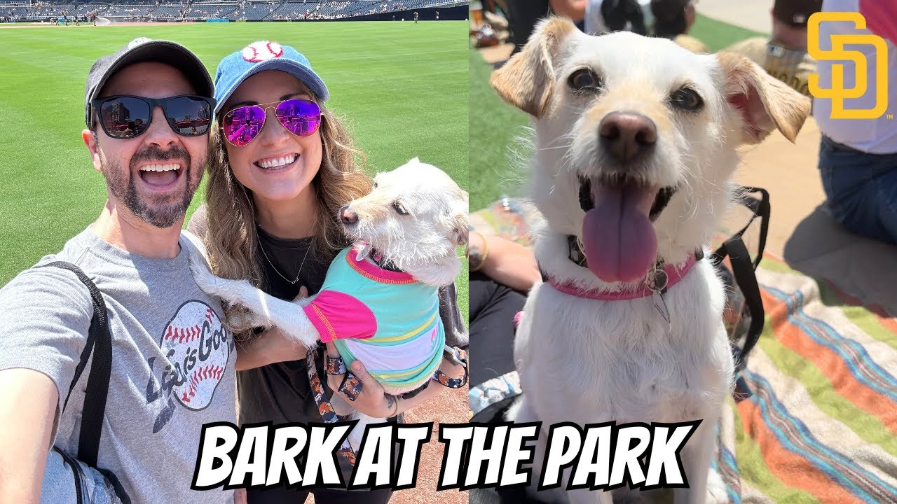 Bark at the Park! San Diego Padres Petco Park Dog Game!