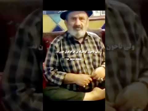 شهر شیراز مردمش صفا دارن و وفا دارن کلیپ ترند موزیک