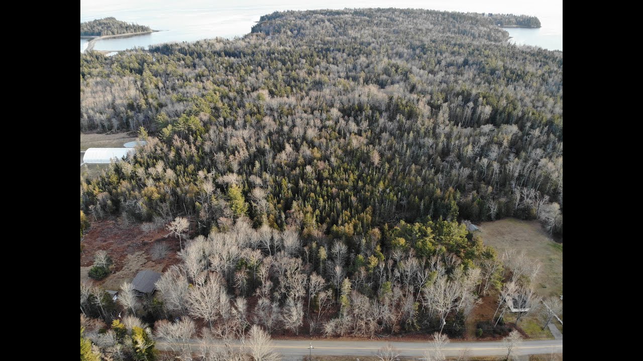 Main Road, Islesboro, Maine YouTube