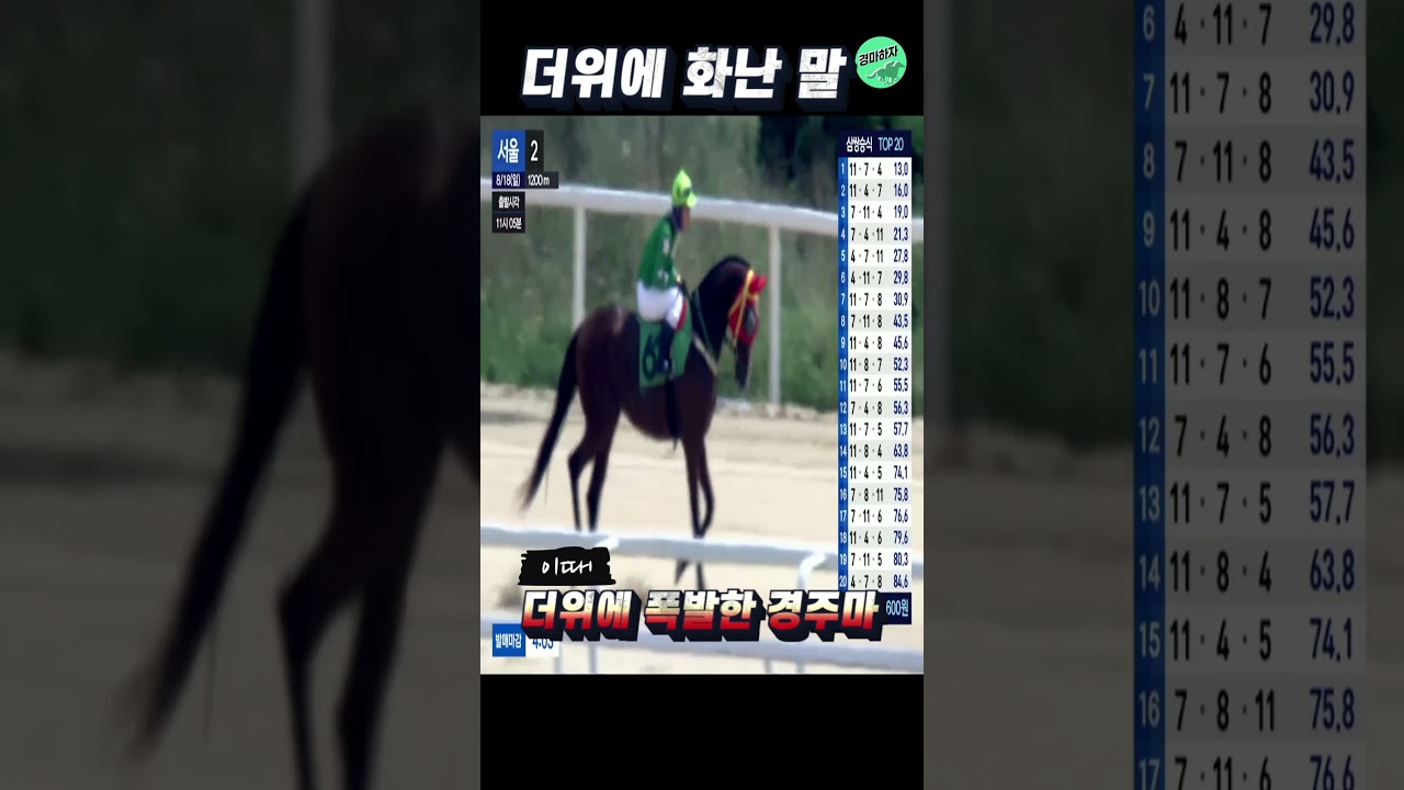 폭염의 지친 경주마가 한 돌발행동 #shorts