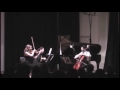 Miniature de la vidéo de la chanson Piano Trio In G Minor, Op. 3: I. Pas Trop Lent - Animé