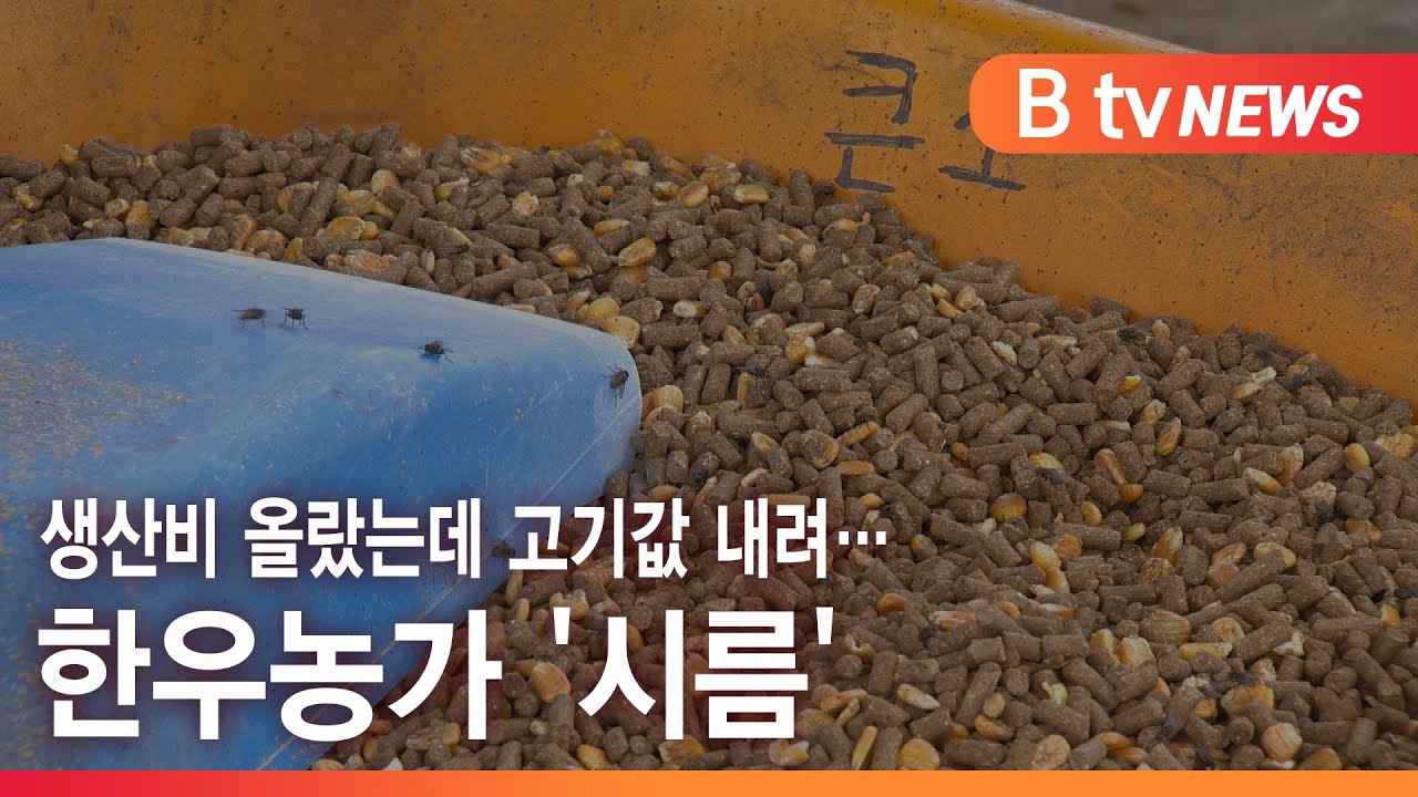 생산비 올랐는데 고기값 내려… 한우농가 '시름'