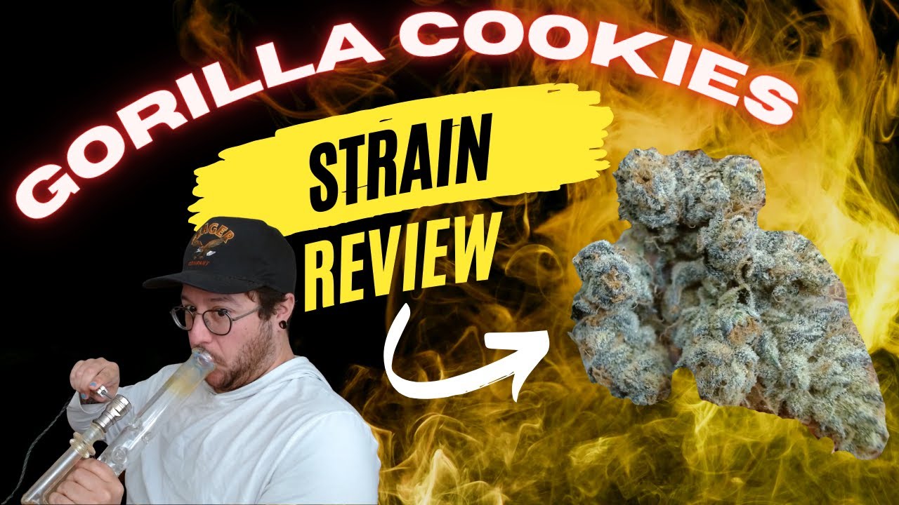 When a strain lowers your IQ. (Gorilla Cookies Review)