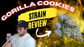 When a strain lowers your IQ. (Gorilla Cookies Review)