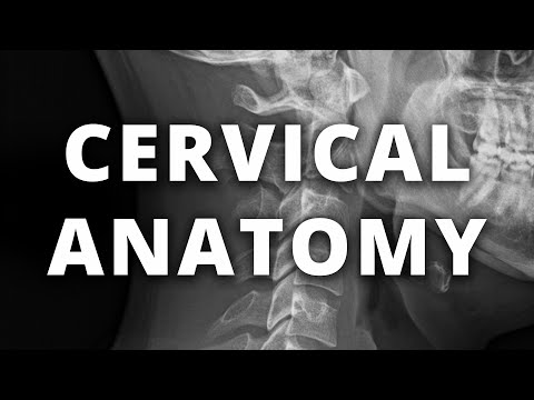 Normal radiographic anatomy cervical spine xray