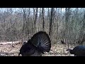 Trail Cam Tuesday, March 31st, 2026