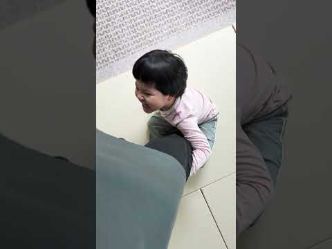 DUNA is Daddy's little human clingy! 💖 아빠 다리는 DUNA 전용 껌딱지 존! 💖 #Shorts