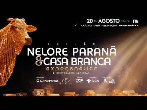 LOTE 01   ANP 4667 COM MÃE E AVÓ