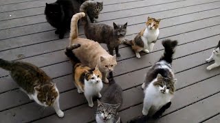 every day every darn day♥️👍