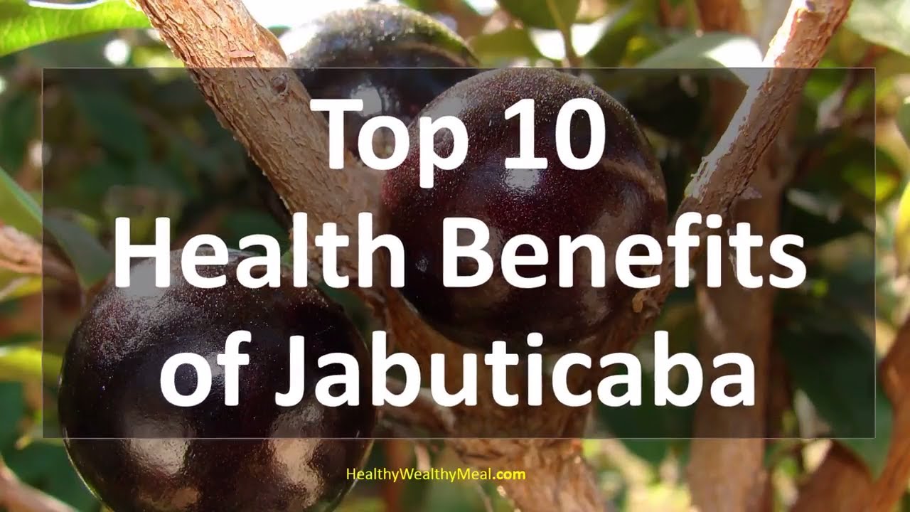 Top 10 Health Benefits of Jabuticaba Healthy Wealthy Tips YouTube