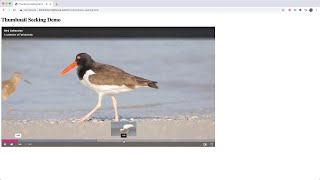 Adding Thumbnail Seeking to a Player