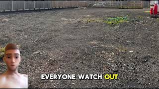 Reply To Sledge I Sold My Half Of Our Yard To The To The Bumbee Mcdonaghs Part 1