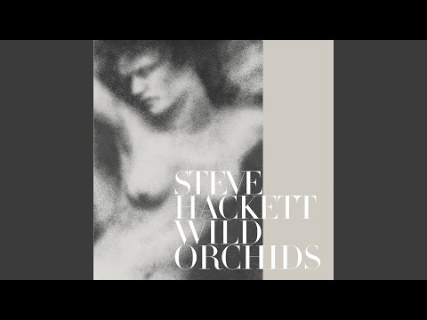 Steve Hackett — A Dark Night in Toytown