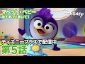 マペット・ベビー みてみて！きいて！｜第5話｜ディズニープラスで配信中！