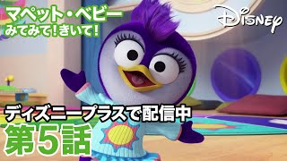 マペット・ベビー みてみて！きいて！｜第5話｜ディズニープラスで配信中！