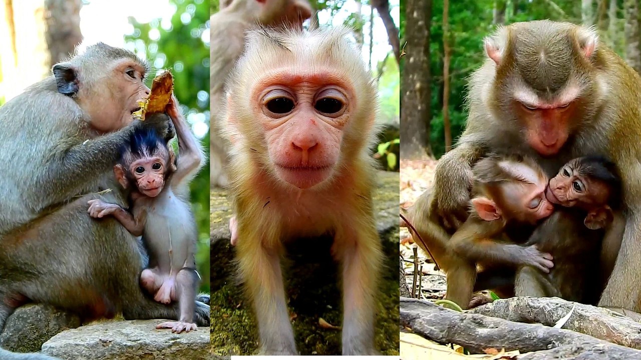 Adorable Avery asks for eating food from Amaya very cleverly.