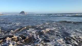 Morro strand dog beach