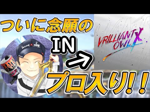 プロトバナム　プロになります！【スマブラSP】