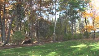 1080 Video from SONY HX5V Camera
