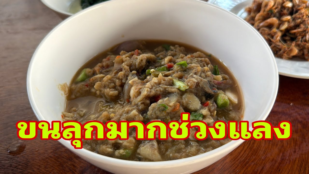หิวข้าวจนสั่นพี่น้อง#อุ๋งอิ๋งเพชรบ้านแพง 