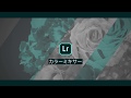 Lightroomの「カラーミキサー」で好きな色だけを鮮やかに|Creative Cloud