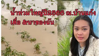 น้ำท่วมใหญ่ปี2566