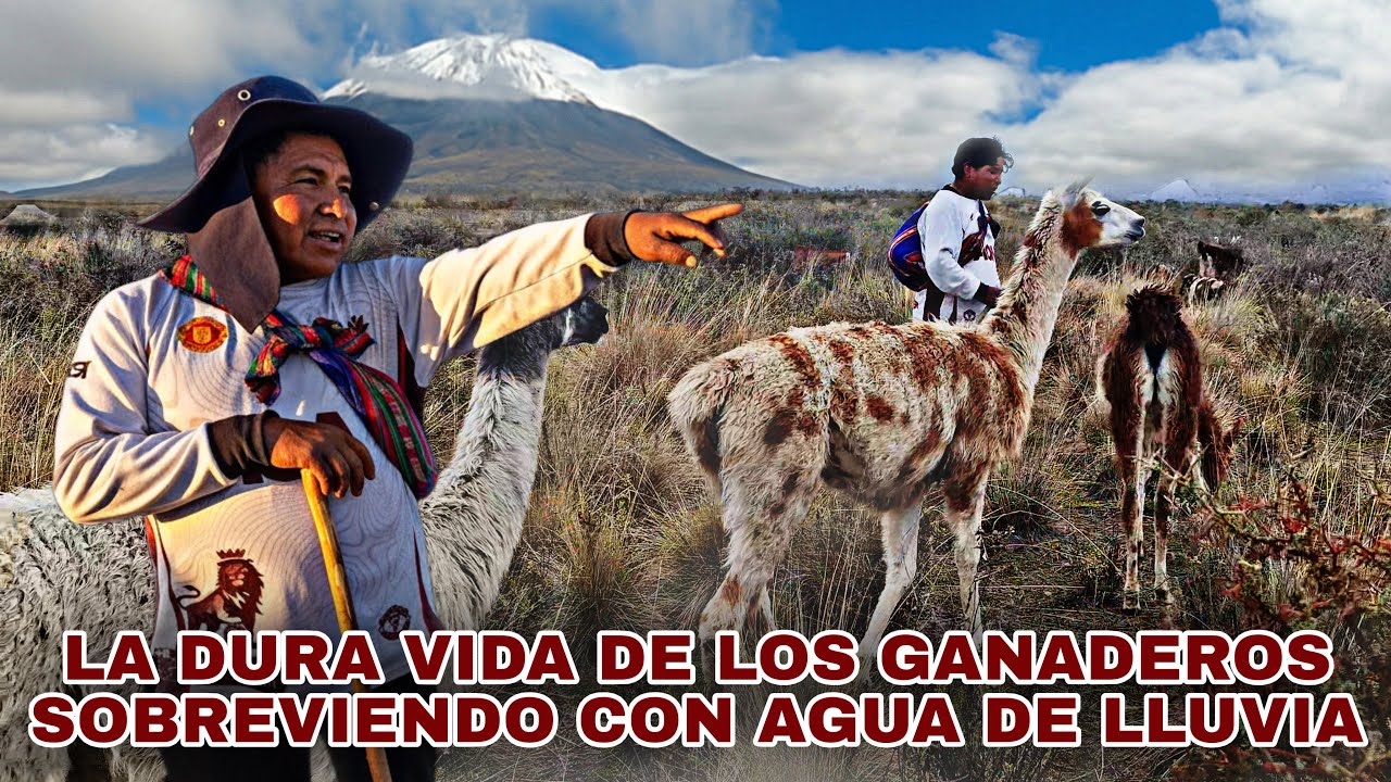 Viven Al Pie De un VOLCAN  Sobreviviendo Con AGUA de LLUVIA
