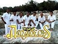 Grupo amadeos luz de luna vdeo oficial 2014