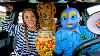 Rubber Ducky Surprises Puppy, Fish & Police In Car Ride Chase